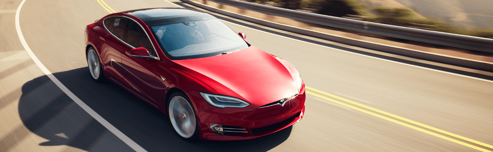Sonnenschutzelement Tesla Model S - durchgehendes Glasdach - 2-geteilt –  E-Mobility Shop